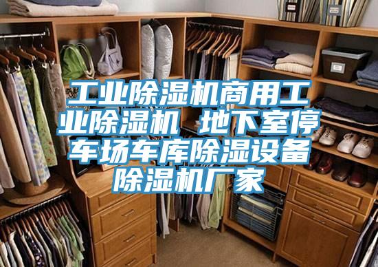 工业抖音成人版下载商用工业抖音成人版下载 地下室停车场车库除湿设备抖音成人版下载厂家