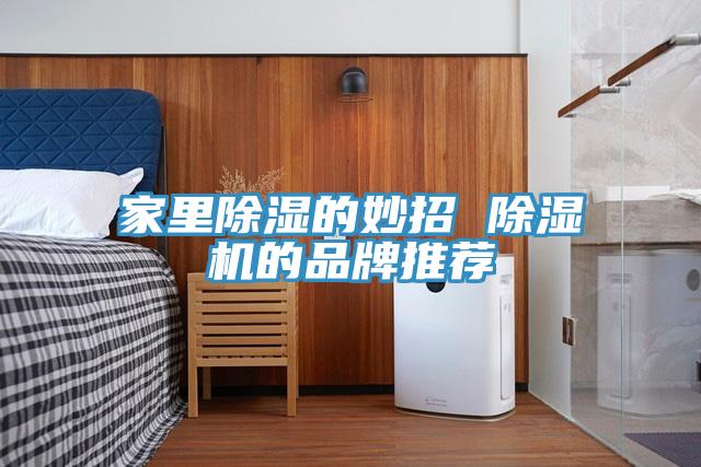 家里除湿的妙招 抖音成人版下载的品牌推荐