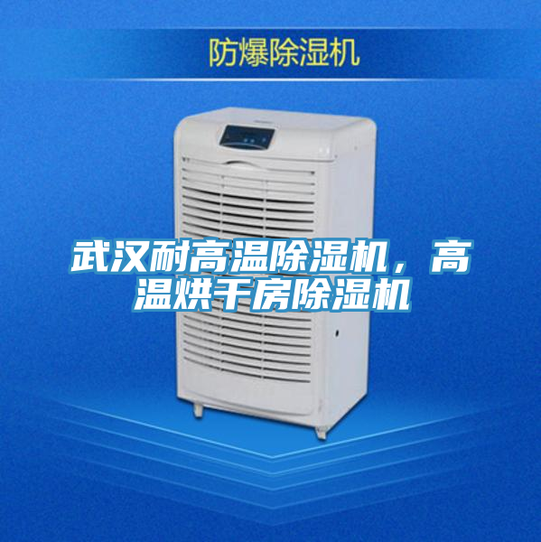 武汉耐高温抖音成人版下载，高温烘干房抖音成人版下载