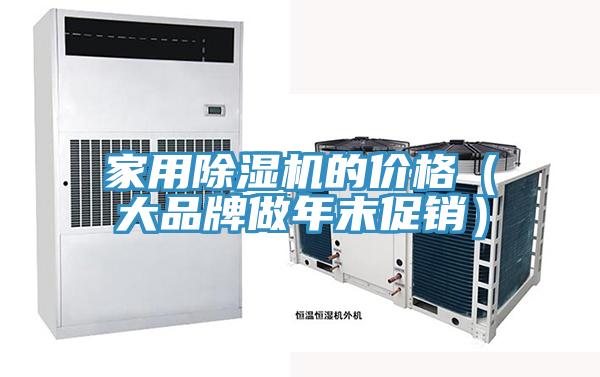 家用抖音成人版下载的价格（大品牌做年末促销）