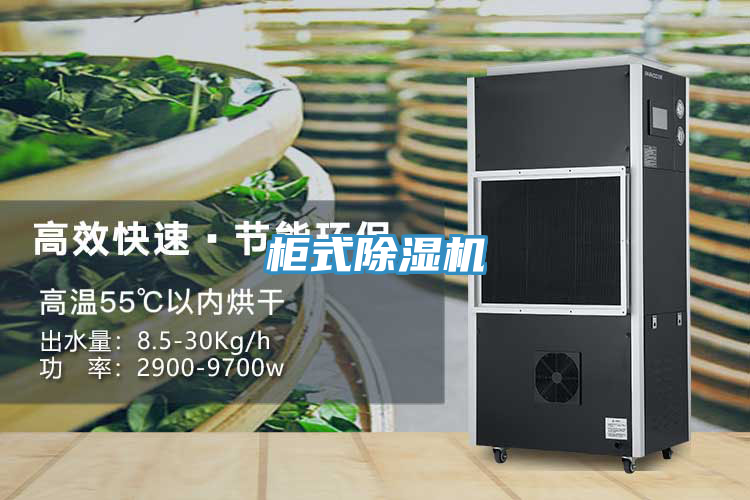 柜式抖音成人版下载