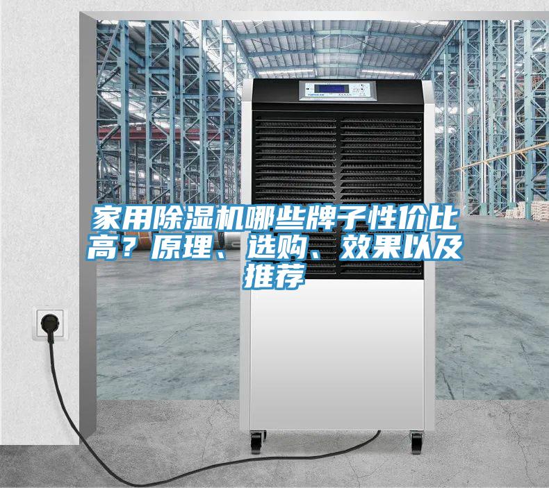 家用抖音成人版下载哪些牌子性价比高？原理、选购、效果以及推荐