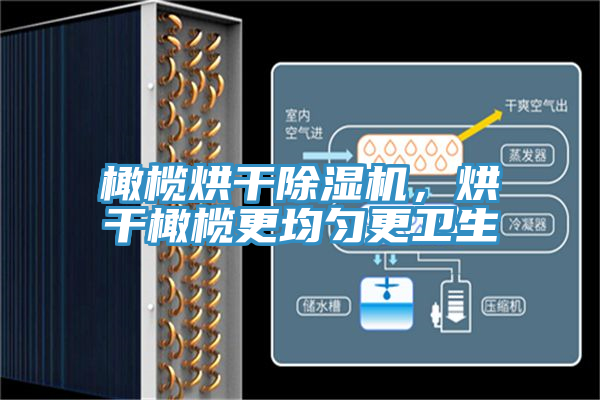 橄榄烘干抖音成人版下载，烘干橄榄更均匀更卫生