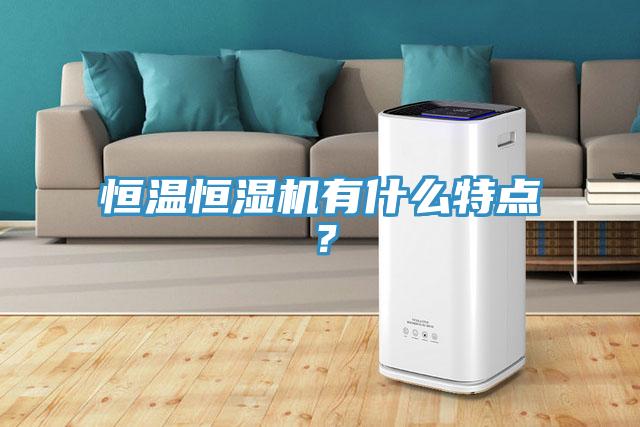 恒温恒湿机有什么特点？