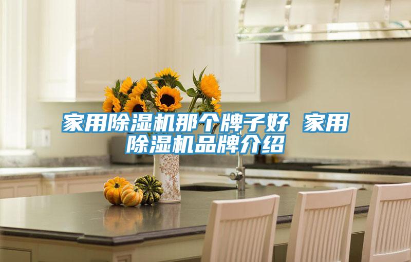 家用抖音成人版下载那个牌子好 家用抖音成人版下载品牌介绍