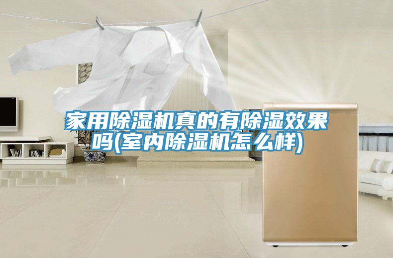 家用抖音成人版下载真的有除湿效果吗(室内抖音成人版下载怎么样)