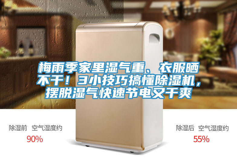 梅雨季家里湿气重、衣服晒不干！3小技巧搞懂抖音成人版下载，摆脱湿气快速节电又干爽