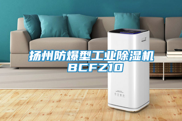 扬州防爆型工业抖音成人版下载 BCFZ10