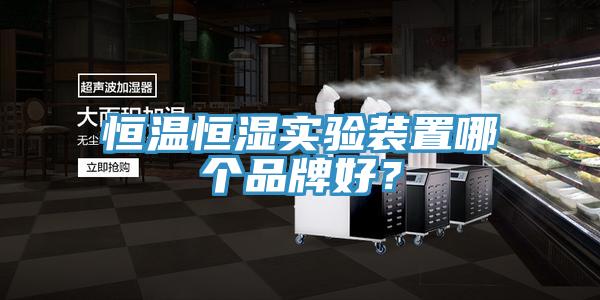 恒温恒湿实验装置哪个品牌好？