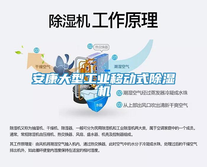 安康大型工业移动式抖音成人版下载
