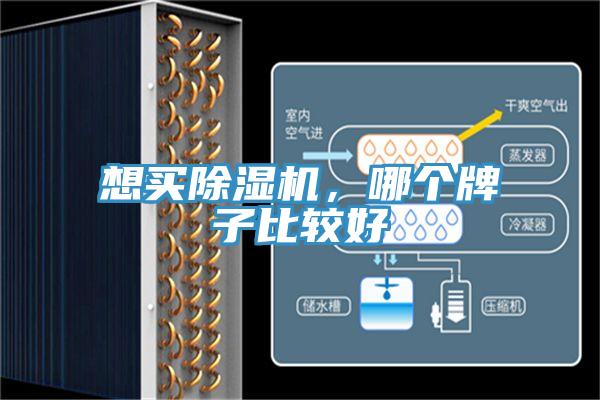 想买抖音成人版下载，哪个牌子比较好