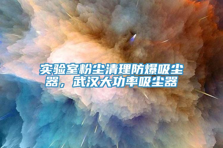 实验室粉尘清理防爆吸尘器，武汉大功率吸尘器