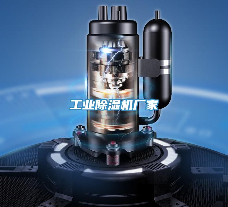 工业抖音成人版下载厂家