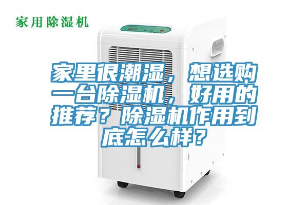 家里很潮湿，想选购一台抖音成人版下载，好用的推荐？抖音成人版下载作用到底怎么样？