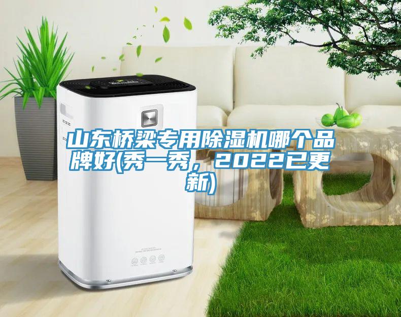 山东桥梁专用抖音成人版下载哪个品牌好(秀一秀，2022已更新)