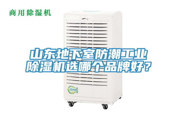 山东地下室防潮工业抖音成人版下载选哪个品牌好？