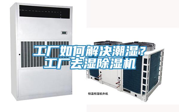 工厂如何解决潮湿？工厂去湿抖音成人版下载