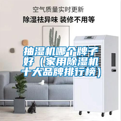 抽湿机哪个牌子好（家用抖音成人版下载十大品牌排行榜）