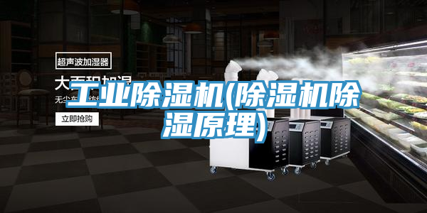 工业抖音成人版下载(抖音成人版下载除湿原理)