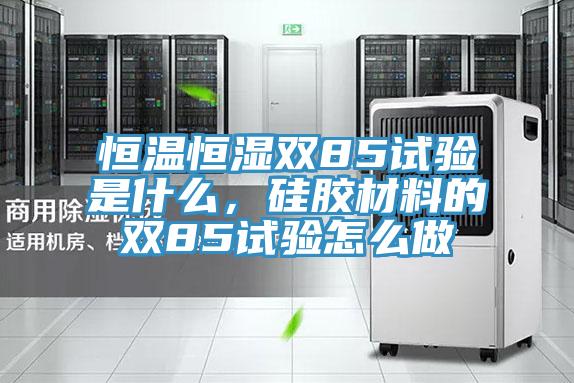 恒温恒湿双85试验是什么，硅胶材料的双85试验怎么做