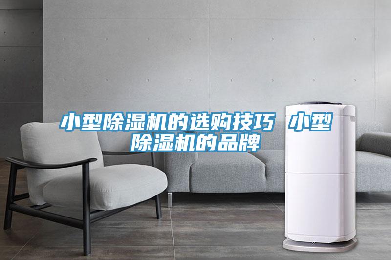 小型抖音成人版下载的选购技巧 小型抖音成人版下载的品牌