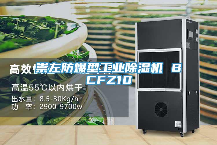 崇左防爆型工业抖音成人版下载 BCFZ10