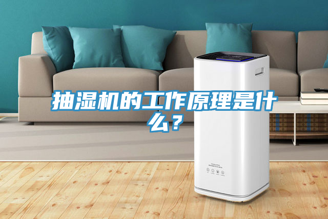 抽湿机的工作原理是什么？