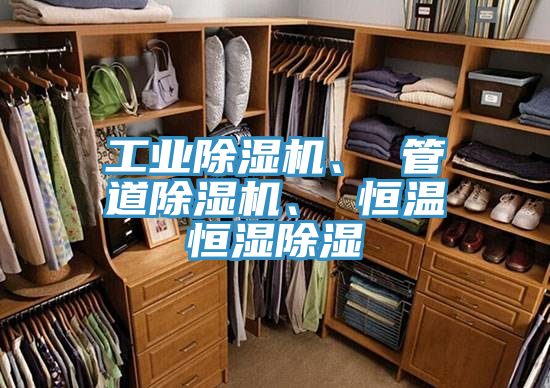 工业抖音成人版下载、 管道抖音成人版下载、 恒温恒湿除湿