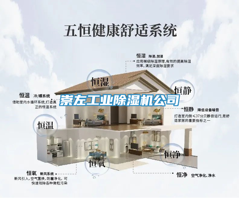 崇左工业抖音成人版下载公司