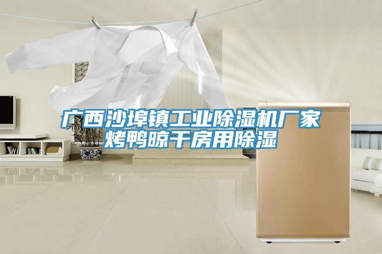 广西沙埠镇工业抖音成人版下载厂家烤鸭晾干房用除湿