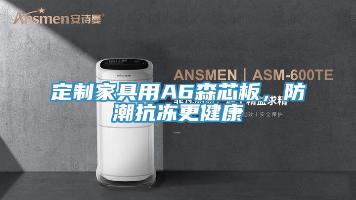 定制家具用A6森芯板，防潮抗冻更健康
