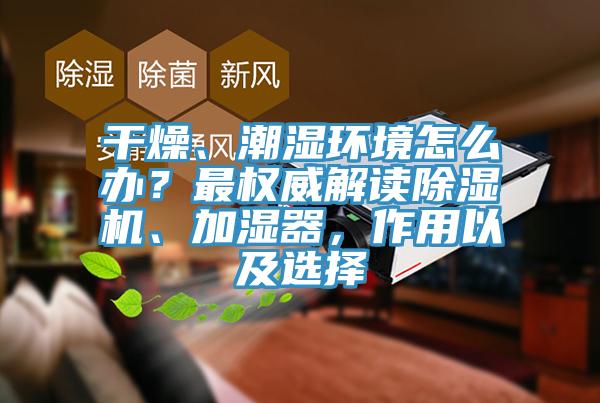 干燥、潮湿环境怎么办？最权威解读抖音成人版下载、加湿器，作用以及选择