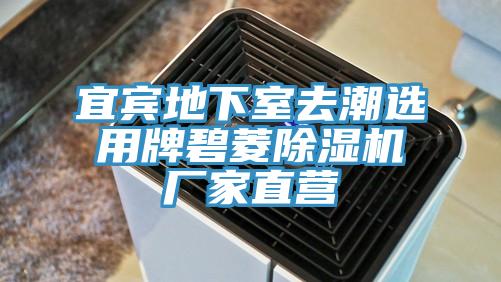 宜宾地下室去潮选用牌碧菱抖音成人版下载厂家直营