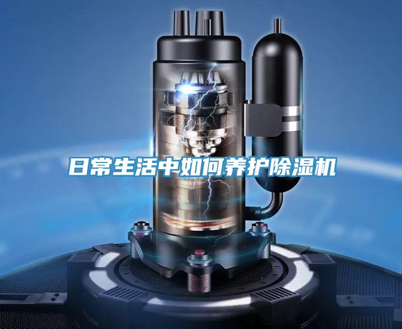 日常生活中如何养护抖音成人版下载