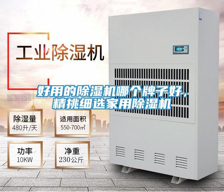 好用的抖音成人版下载哪个牌子好，精挑细选家用抖音成人版下载