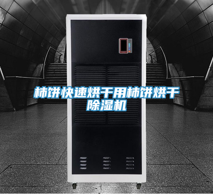 柿饼快速烘干用柿饼烘干抖音成人版下载