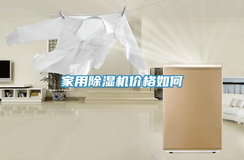 家用抖音成人版下载价格如何