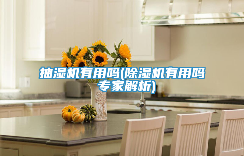 抽湿机有用吗(抖音成人版下载有用吗 专家解析)