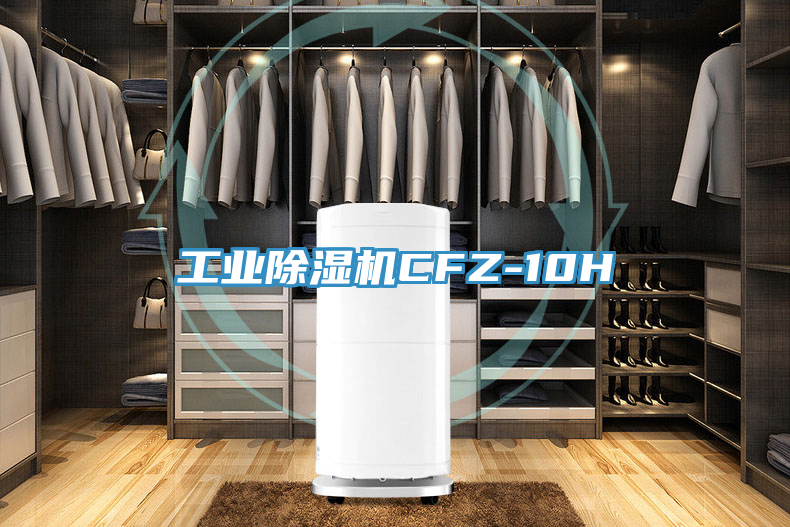 工业抖音成人版下载CFZ-10H