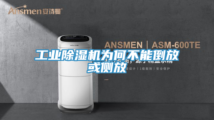 工业抖音成人版下载为何不能倒放或侧放