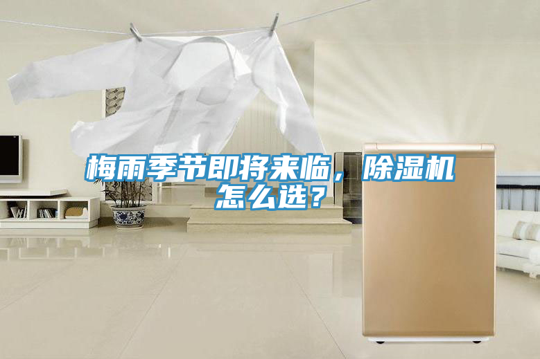 梅雨季节即将来临，抖音成人版下载怎么选？