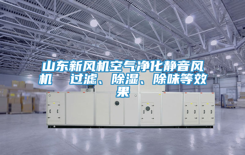 山东新风机空气净化静音风机  过滤、除湿、除味等效果
