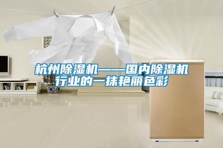 杭州抖音成人版下载——国内抖音成人版下载行业的一抹艳丽色彩