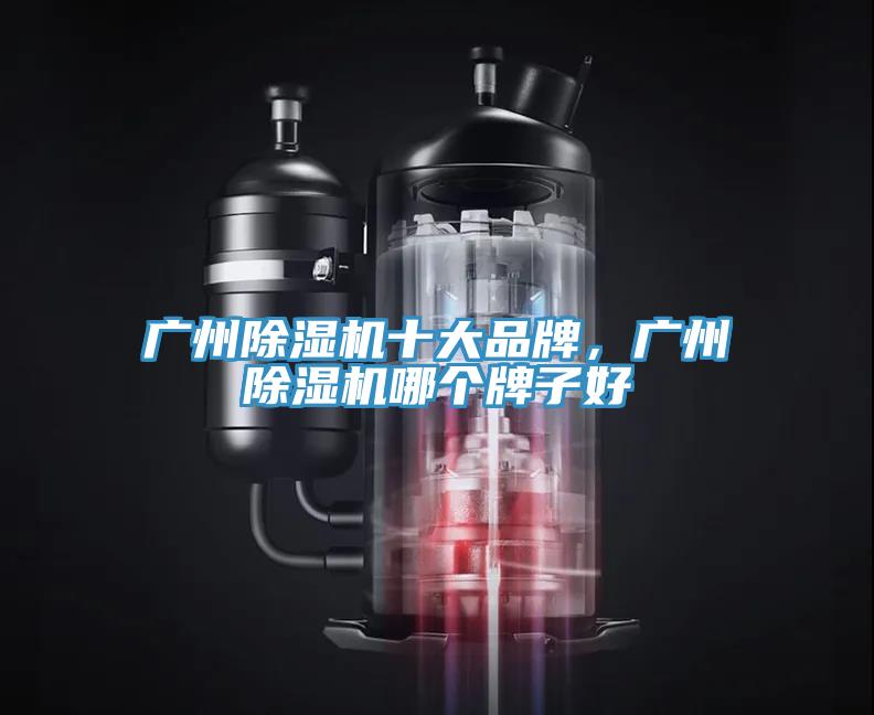 广州抖音成人版下载十大品牌，广州抖音成人版下载哪个牌子好