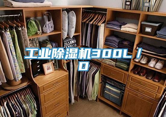 工业抖音成人版下载300L／D