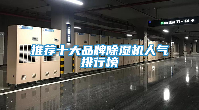 推荐十大品牌抖音成人版下载人气排行榜