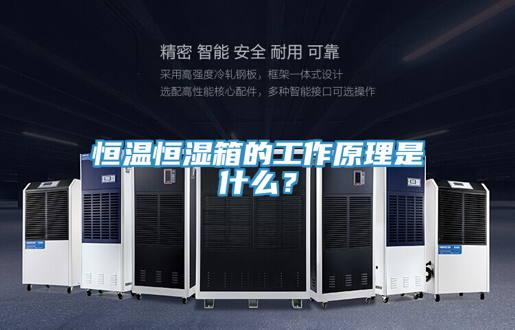 恒温恒湿箱的工作原理是什么？