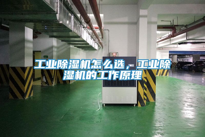 工业抖音成人版下载怎么选，工业抖音成人版下载的工作原理