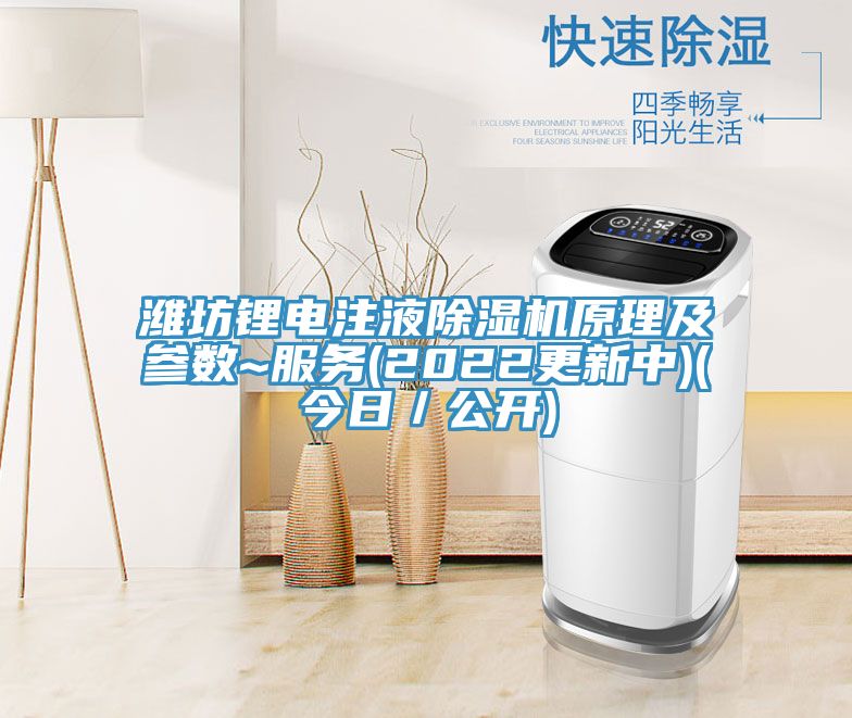 潍坊锂电注液抖音成人版下载原理及参数~服务(2022更新中)(今日／公开)