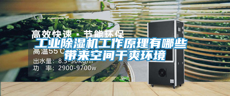 工业抖音成人版下载工作原理有哪些 带来空间干爽环境